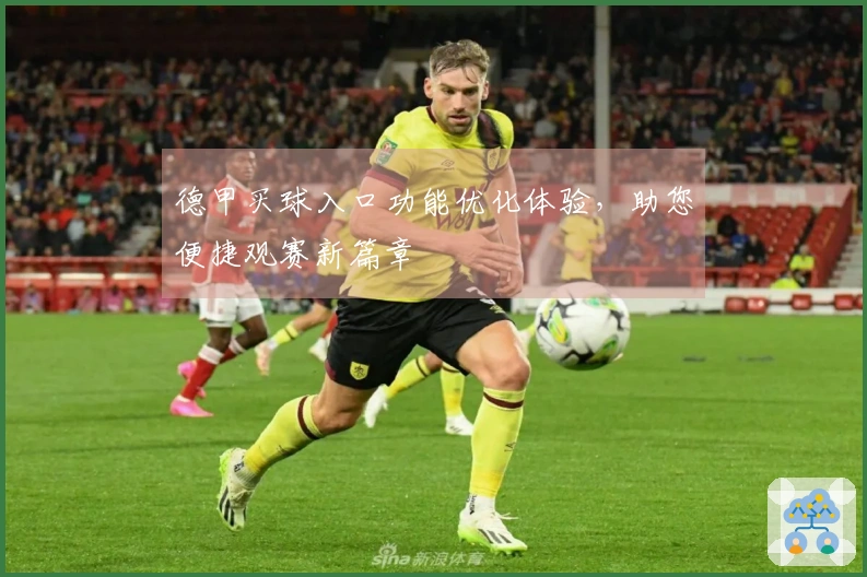 德甲买球入口功能优化体验，助您便捷观赛新篇章