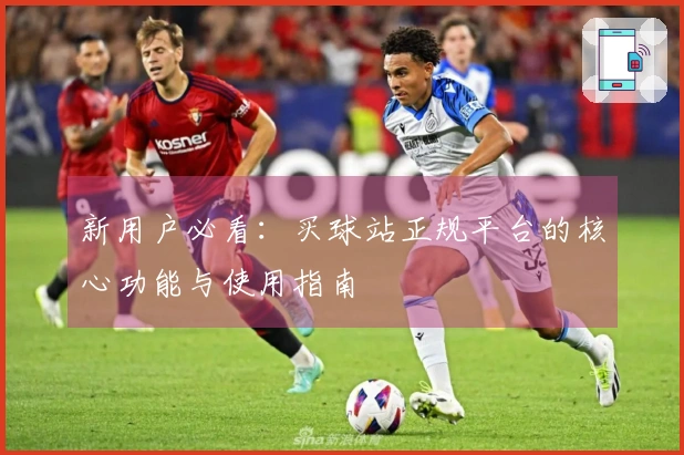 新用户必看：买球站正规平台的核心功能与使用指南