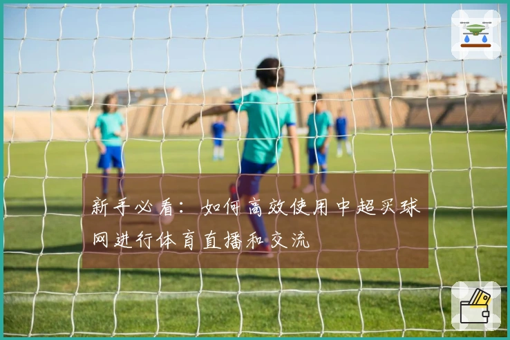 新手必看：如何高效使用中超买球网进行体育直播和交流
