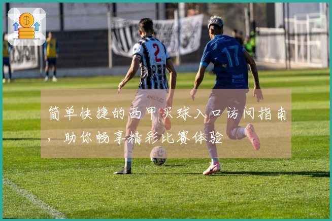 简单快捷的西甲买球入口访问指南，助你畅享精彩比赛体验