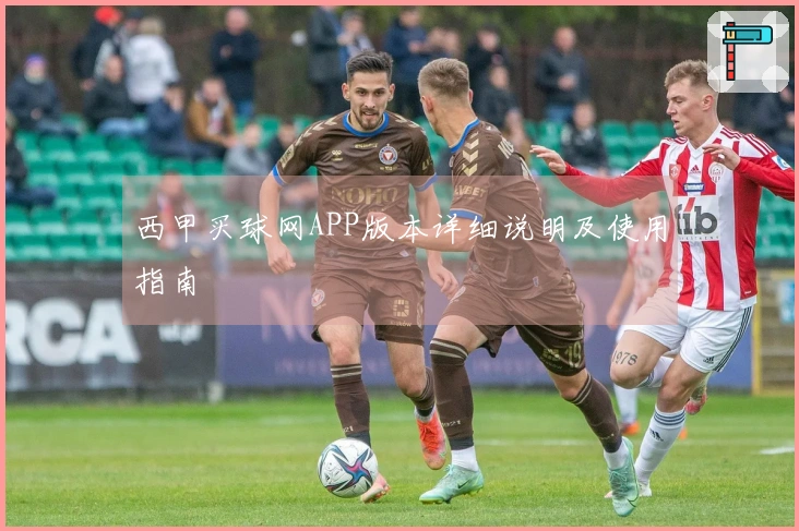 西甲买球网APP版本详细说明及使用指南