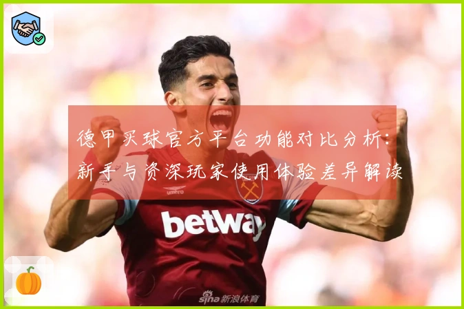 德甲买球官方平台功能对比分析：新手与资深玩家使用体验差异解读
