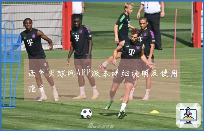 西甲买球网APP版本详细说明及使用指南